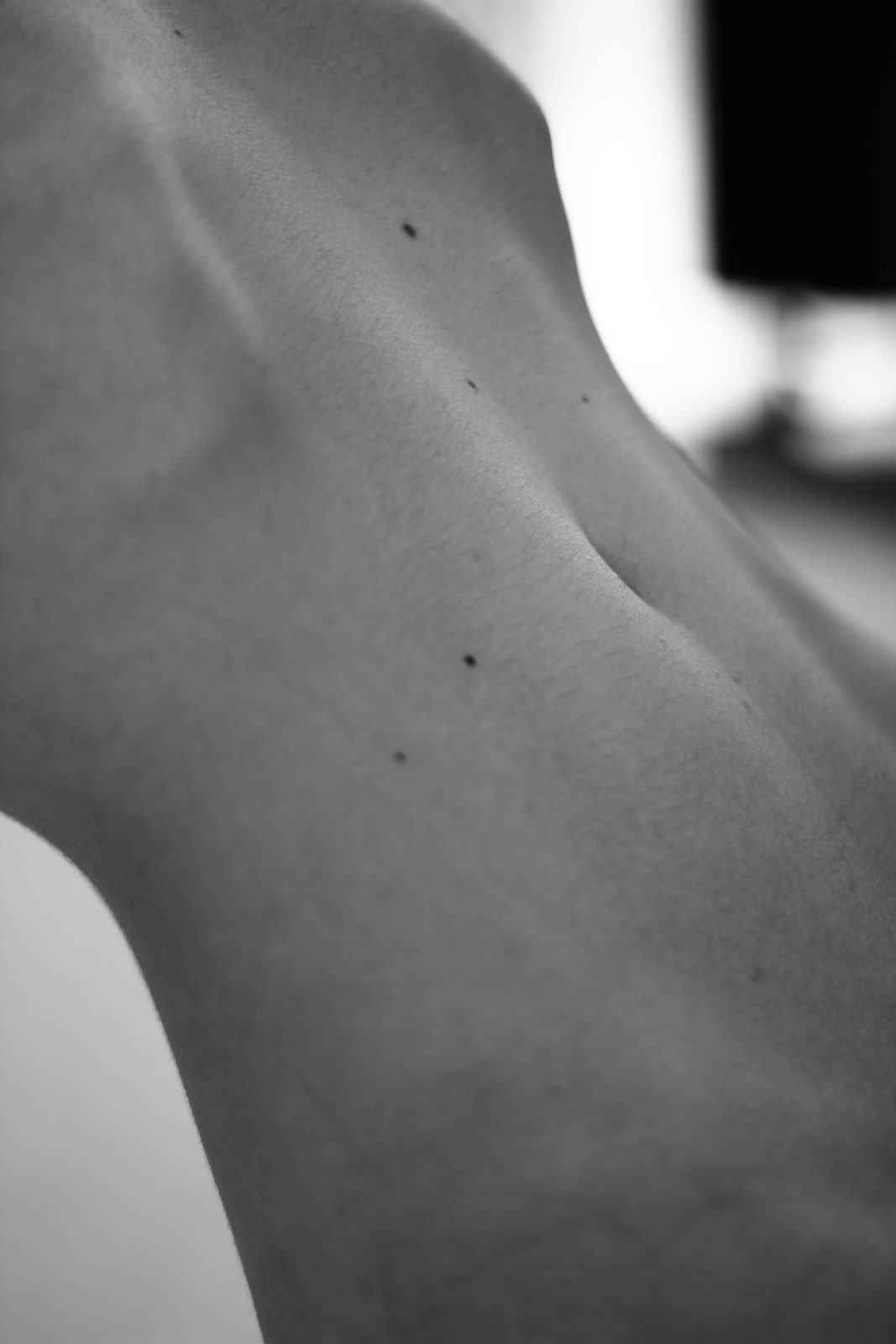 Detalhe de pele